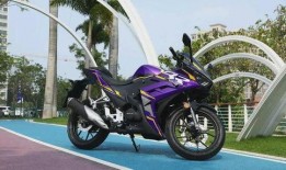 国产机车最新爆料,揭秘最新爆料，性能与颜值双升级