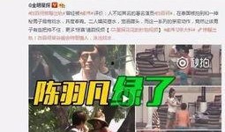 蒋先生爆料成都事件视频,揭秘背后惊人真相